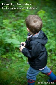 Exploring Nature with Toddlers